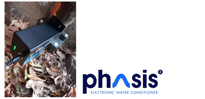 web phasis descalcificador proyectoflex